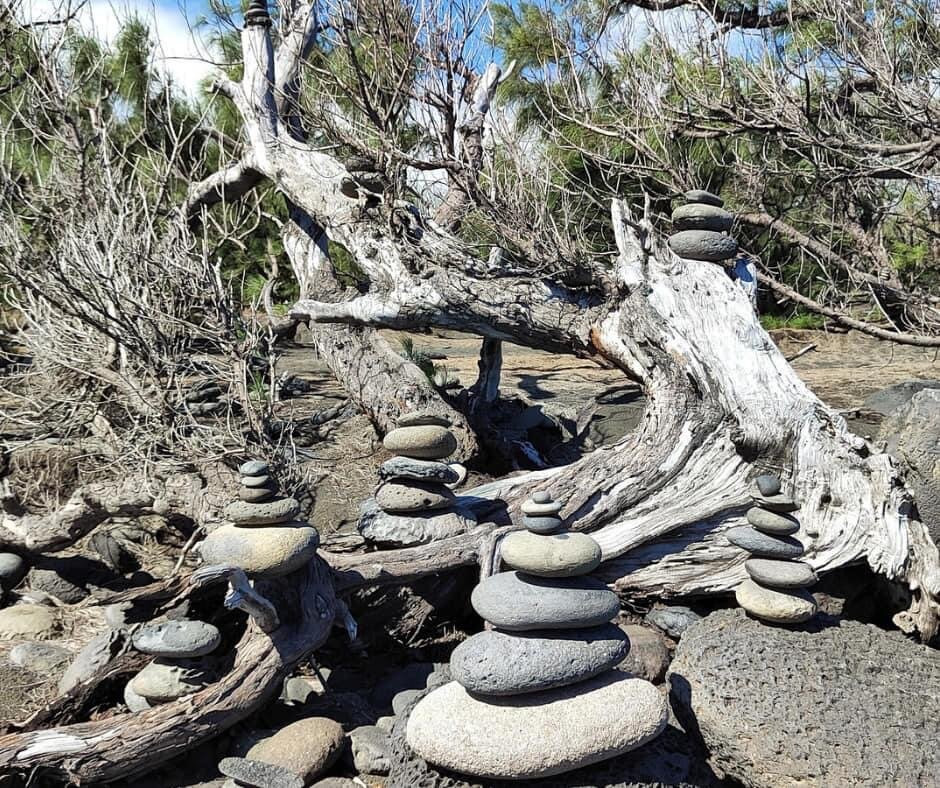 Plage des cairns景点图片