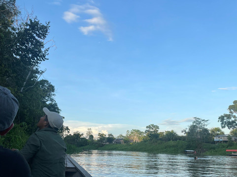 Lupuna jungle tours-伊基托斯必去景点