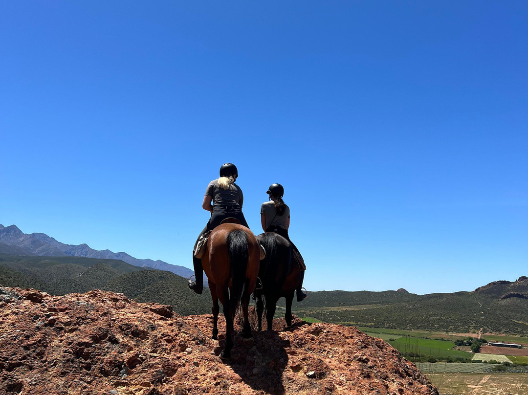 De Rust Horseriding - Klein Karoo Horse Adventures-德鲁必去景点