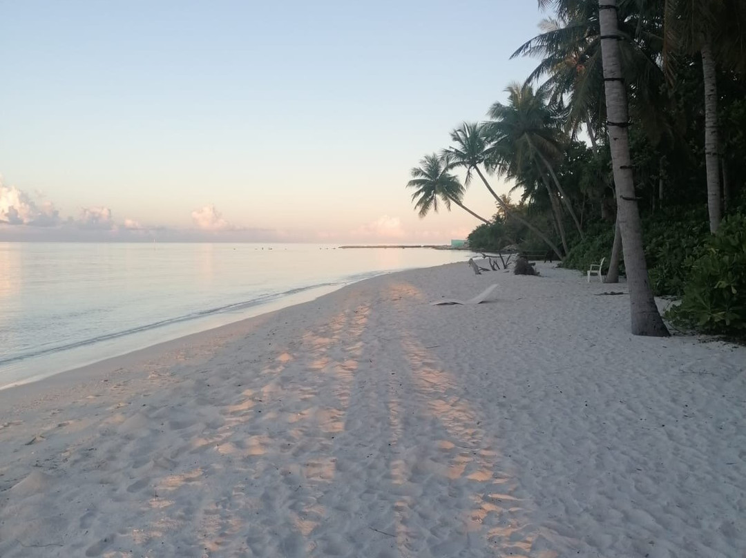 Turtle Maldives主图