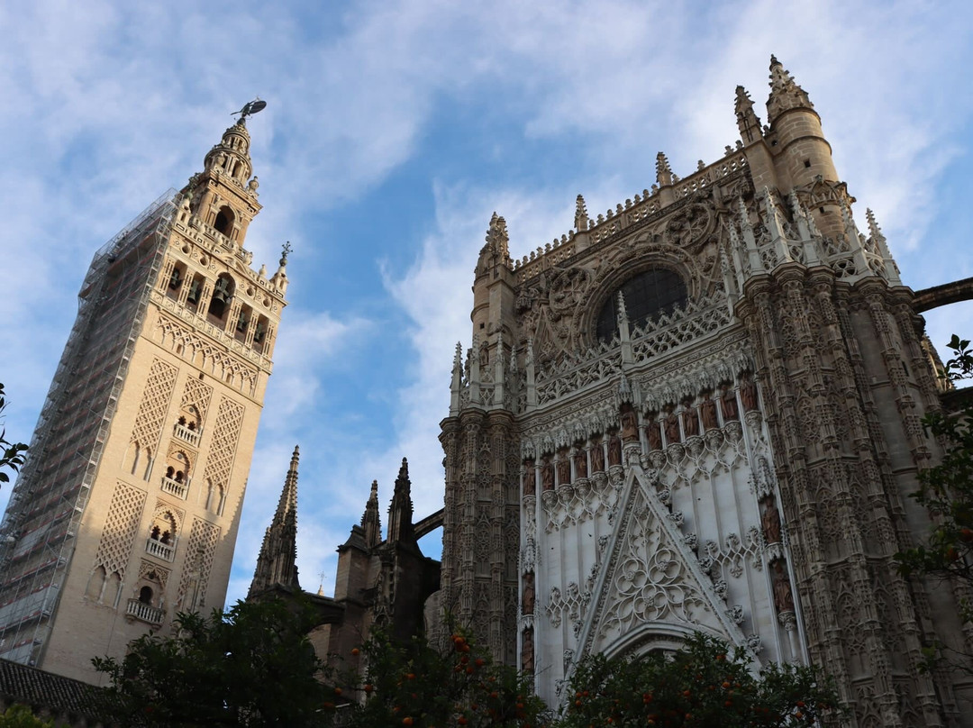 Tours By Locals-塞维利亚必去景点