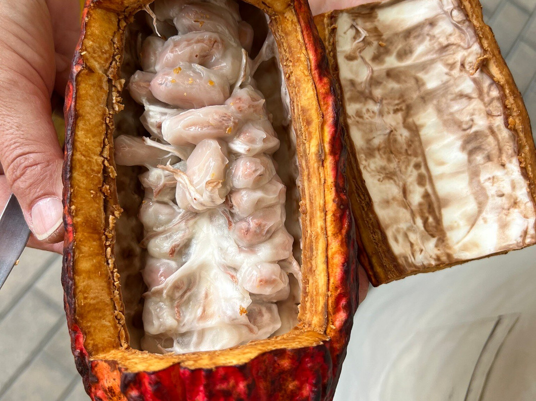 ChocoMuseo-利马必去景点