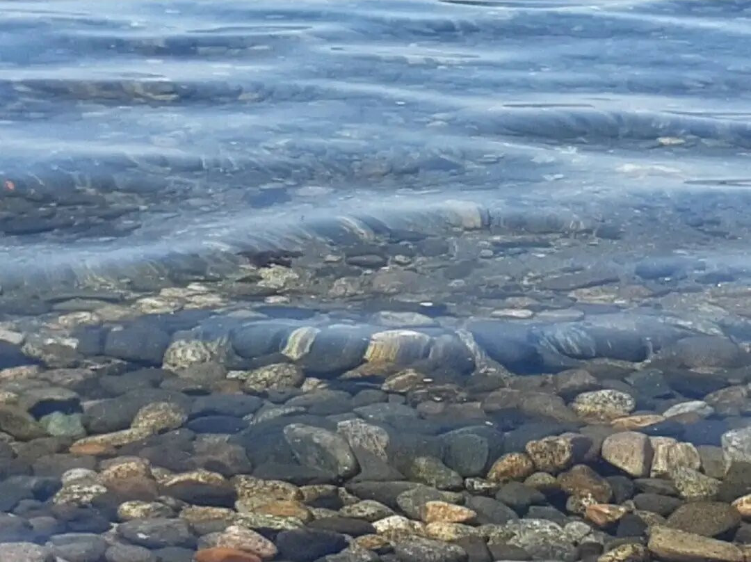 Bahia Coique-Futrono必去景点