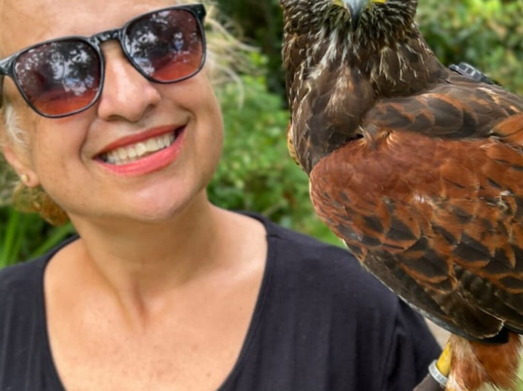 ArtFalcon Falcoaria-佩尼亚必去景点