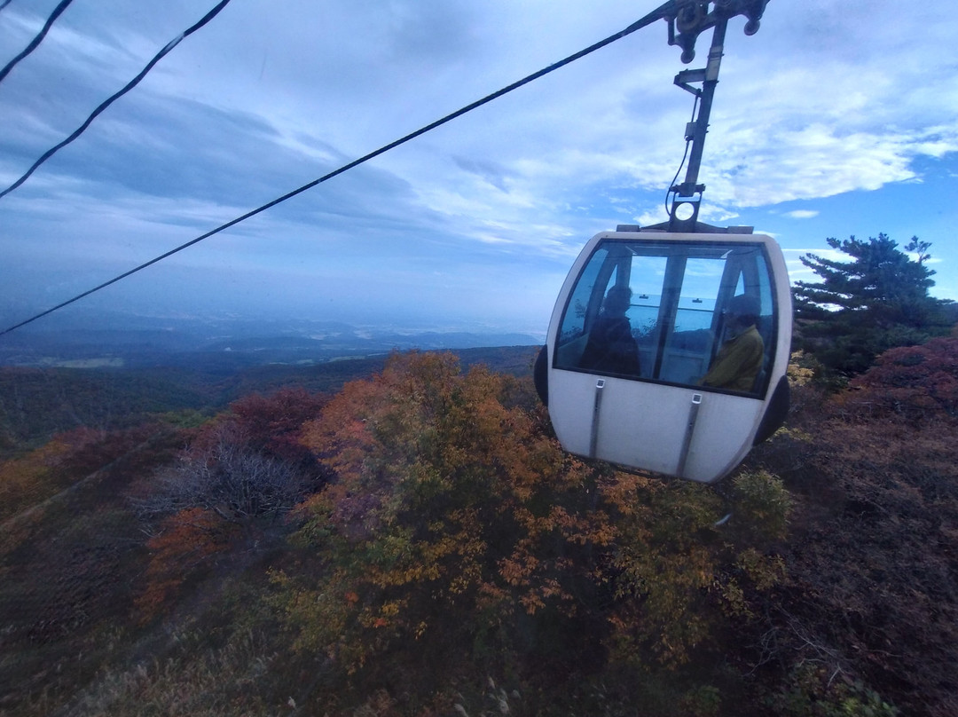 Mt. Adatara Ropeway景点图片