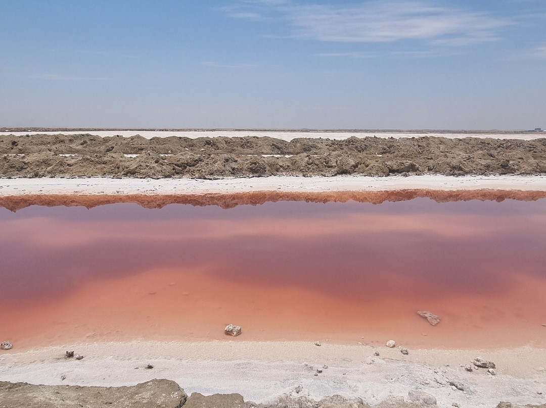 Sandy Horizon Tours-斯瓦科普蒙德必去景点