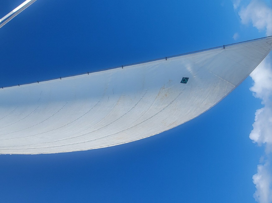 The VI Cat-Estate Thomas必去景点