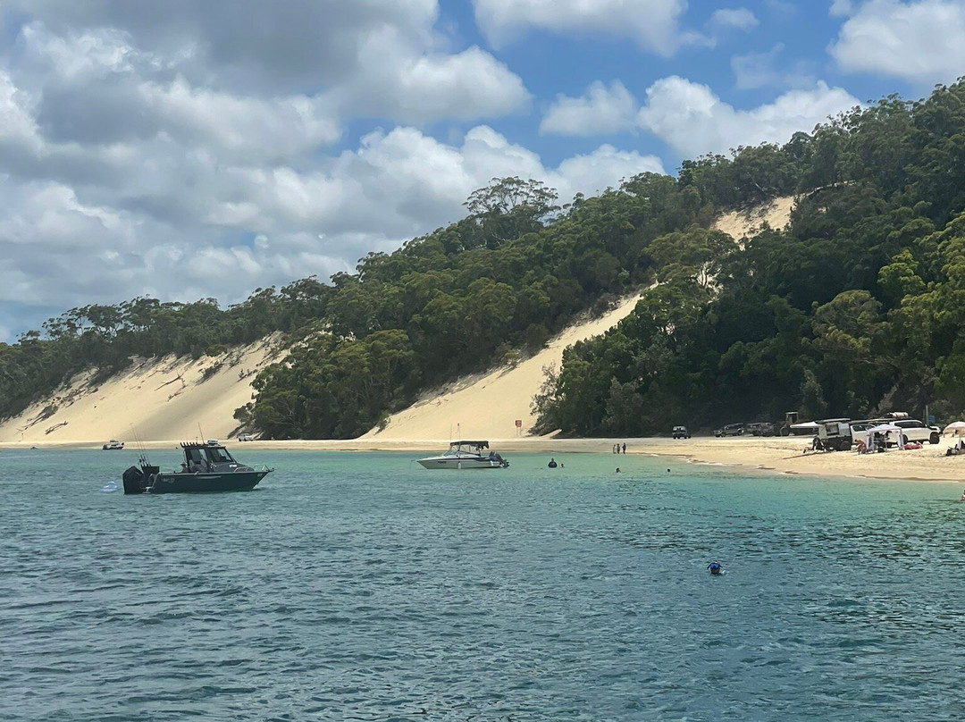 Dolphin Wild Island Cruises景点图片