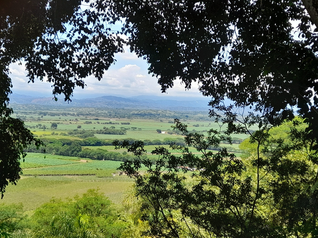 Hotel Los Vinedos主图