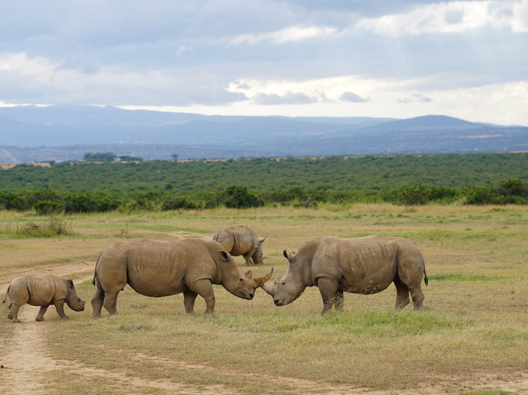 Solio Ranch-涅里必去景点