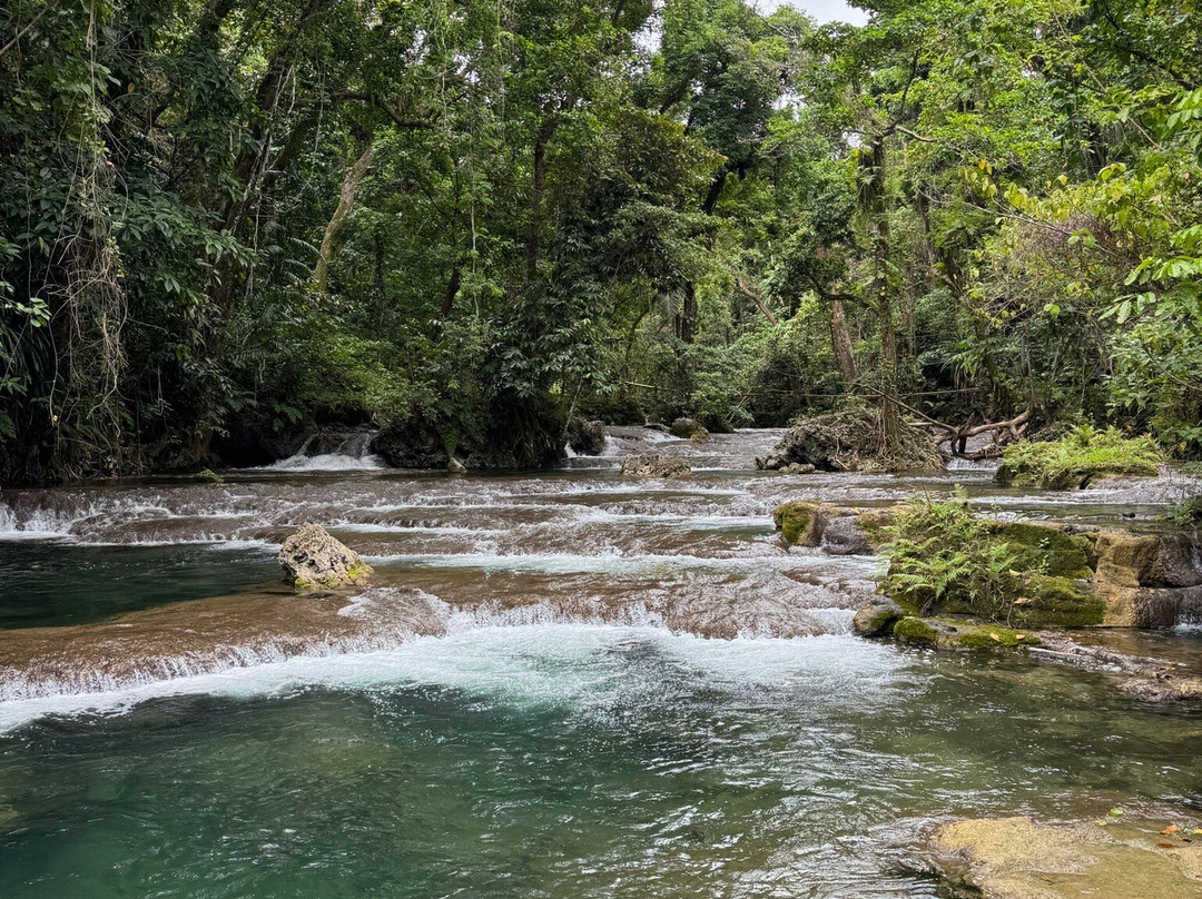 Eden on the River景点图片