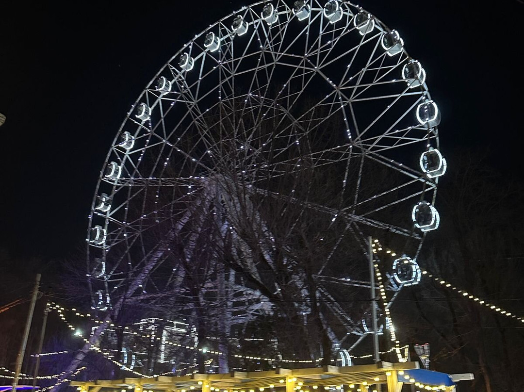 Ferris Wheel Odno Nebo景点图片