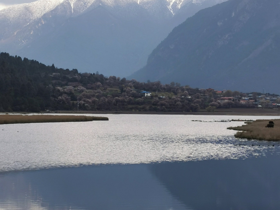 Xizang Nature Tour-拉萨市必去景点