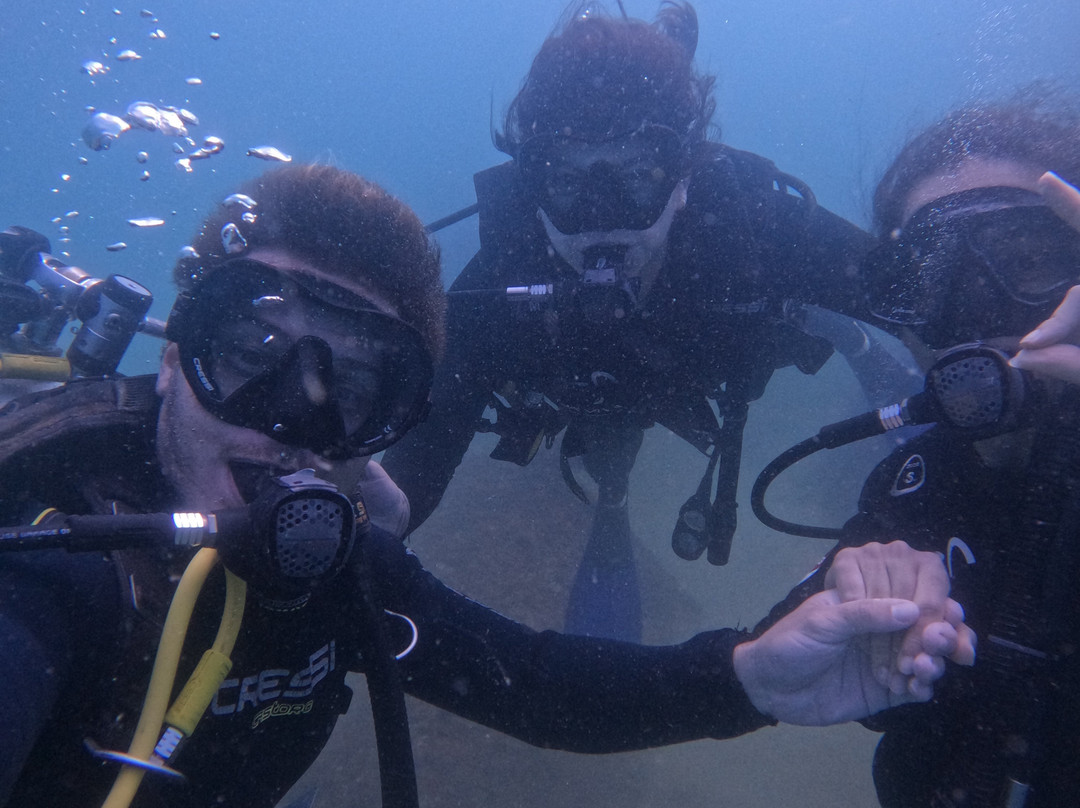 Água Viva Mergulho-弗洛里亚诺波利斯必去景点