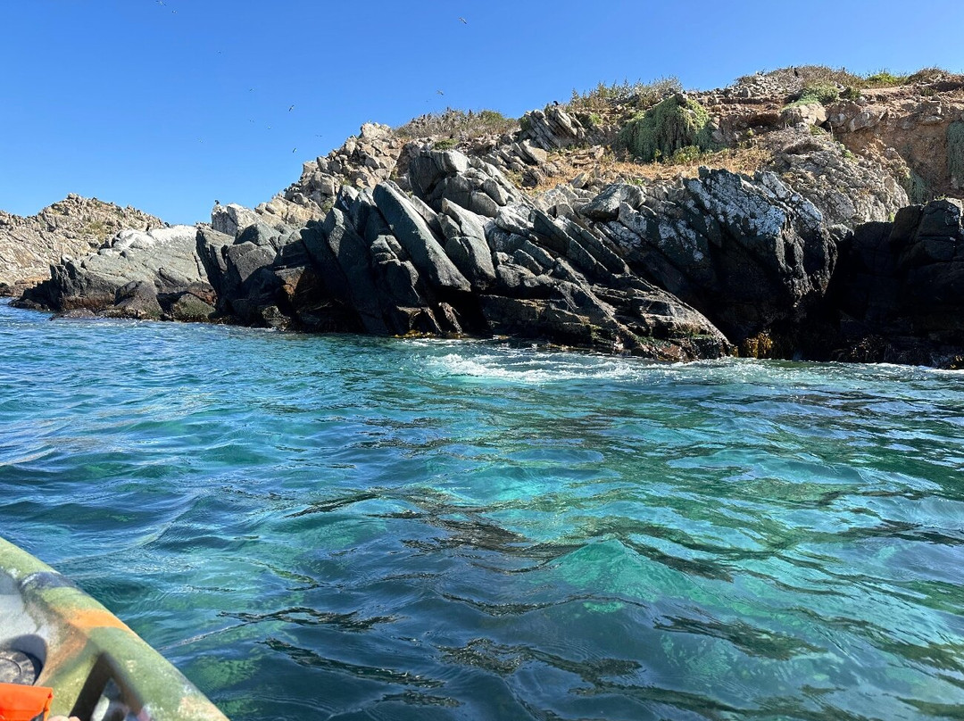 Pichidangui Aventura-Pichidangui必去景点