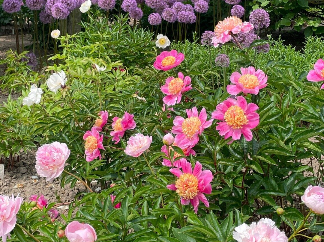 Botanischer Garten Christiansberg景点图片