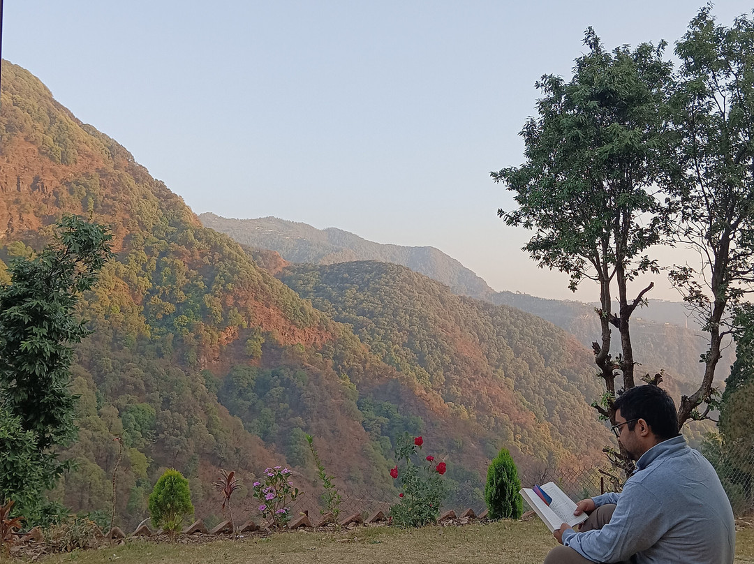 Seclude Pangot, Perch主图