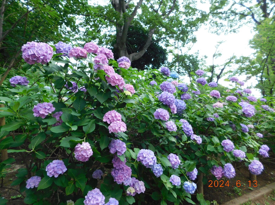 Tamagawadai Park-大田区必去景点