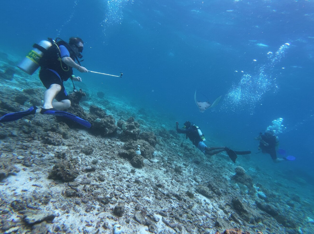 Sun Siyam Diving-伊露岛必去景点