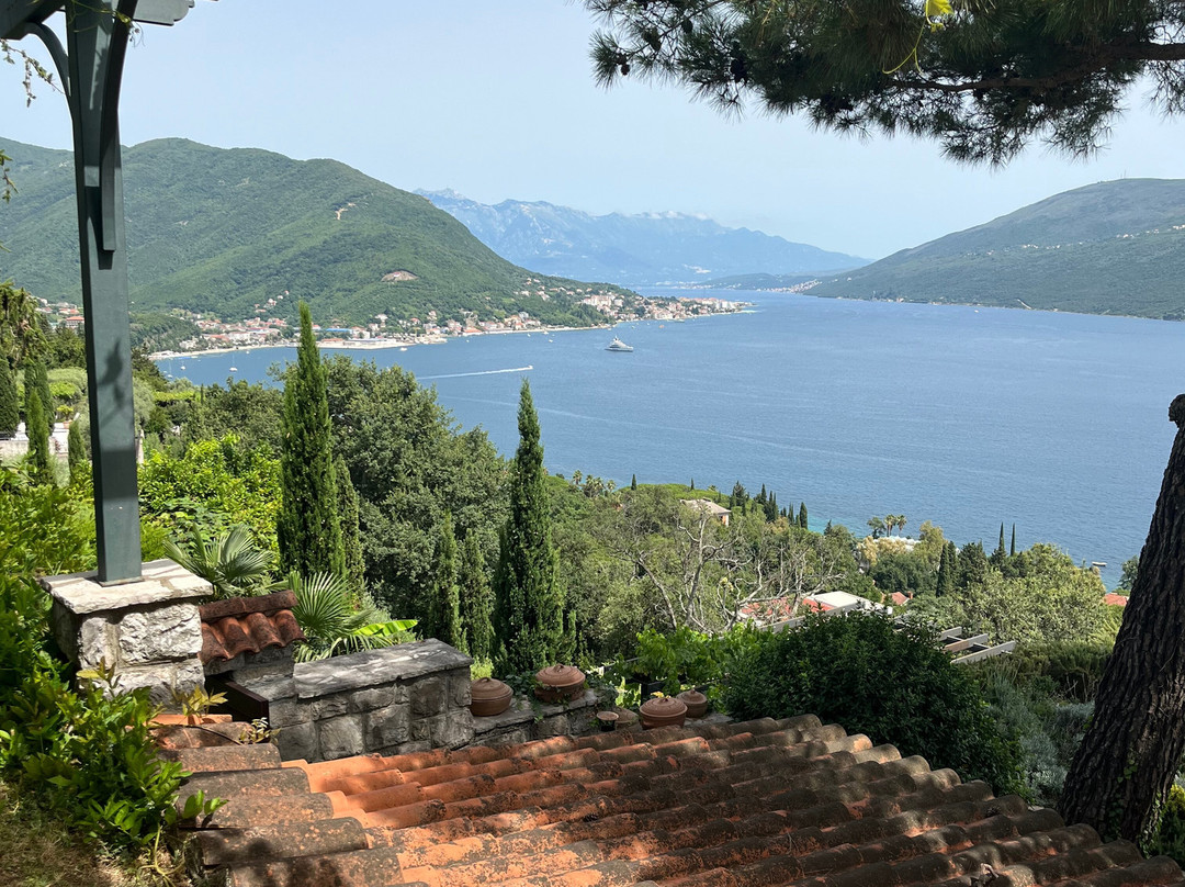 Private Tours Montenegro w/ Ana景点图片