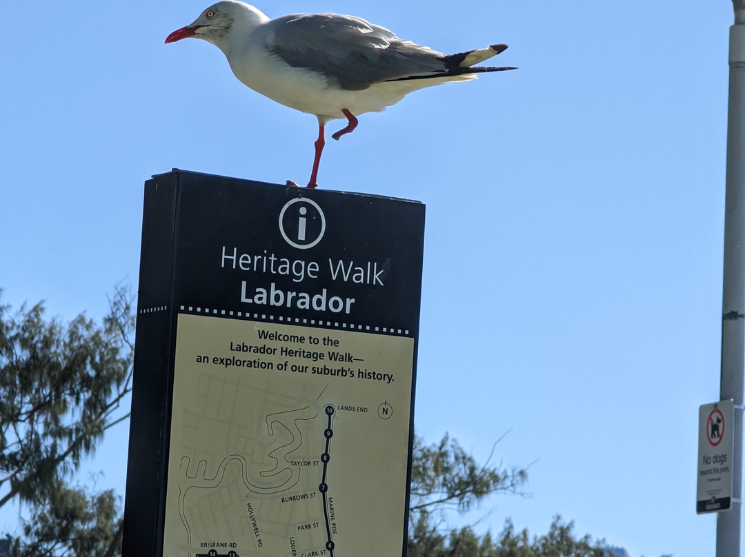 Ian Dipple Lagoon-拉布拉多必去景点