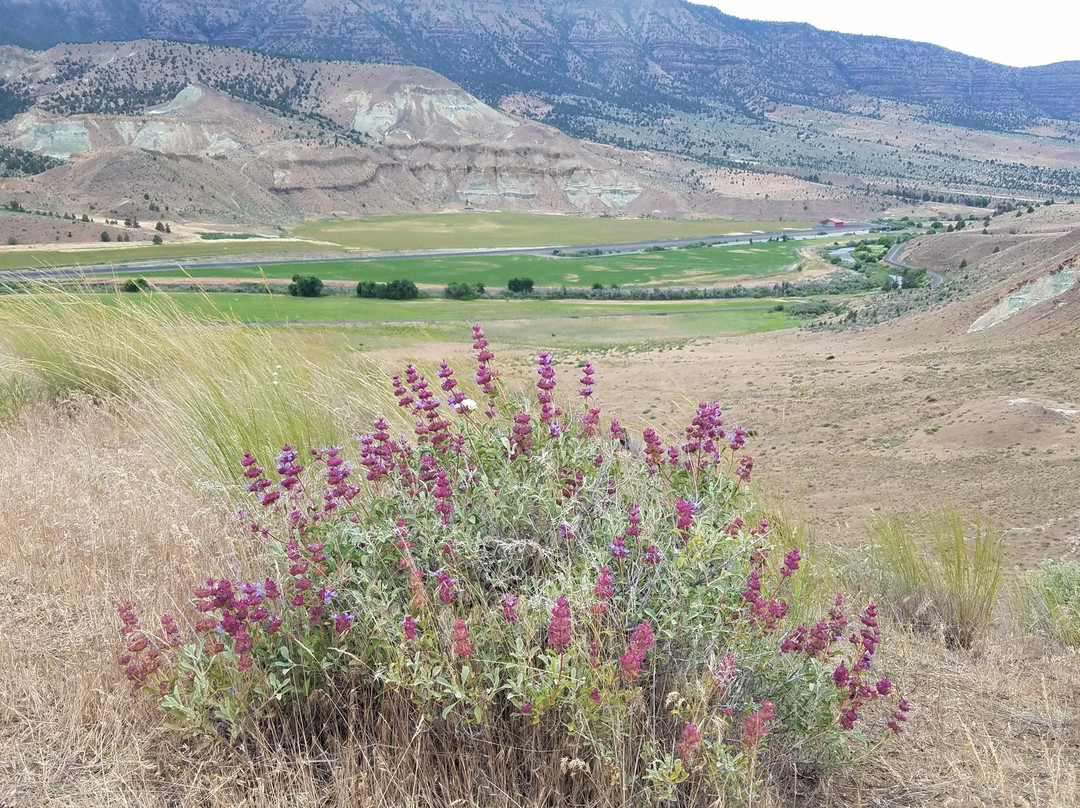 John Day Fossil Beds National Monument景点图片