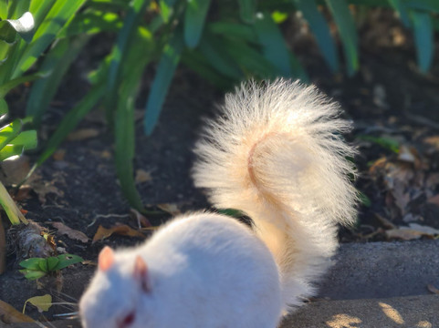 Kareem Tape-开普敦中心区必去景点