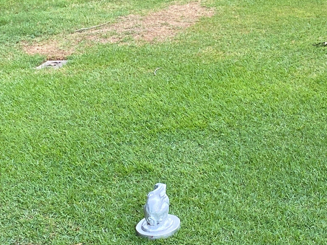 Dancing Rabbit Clubhouse主图