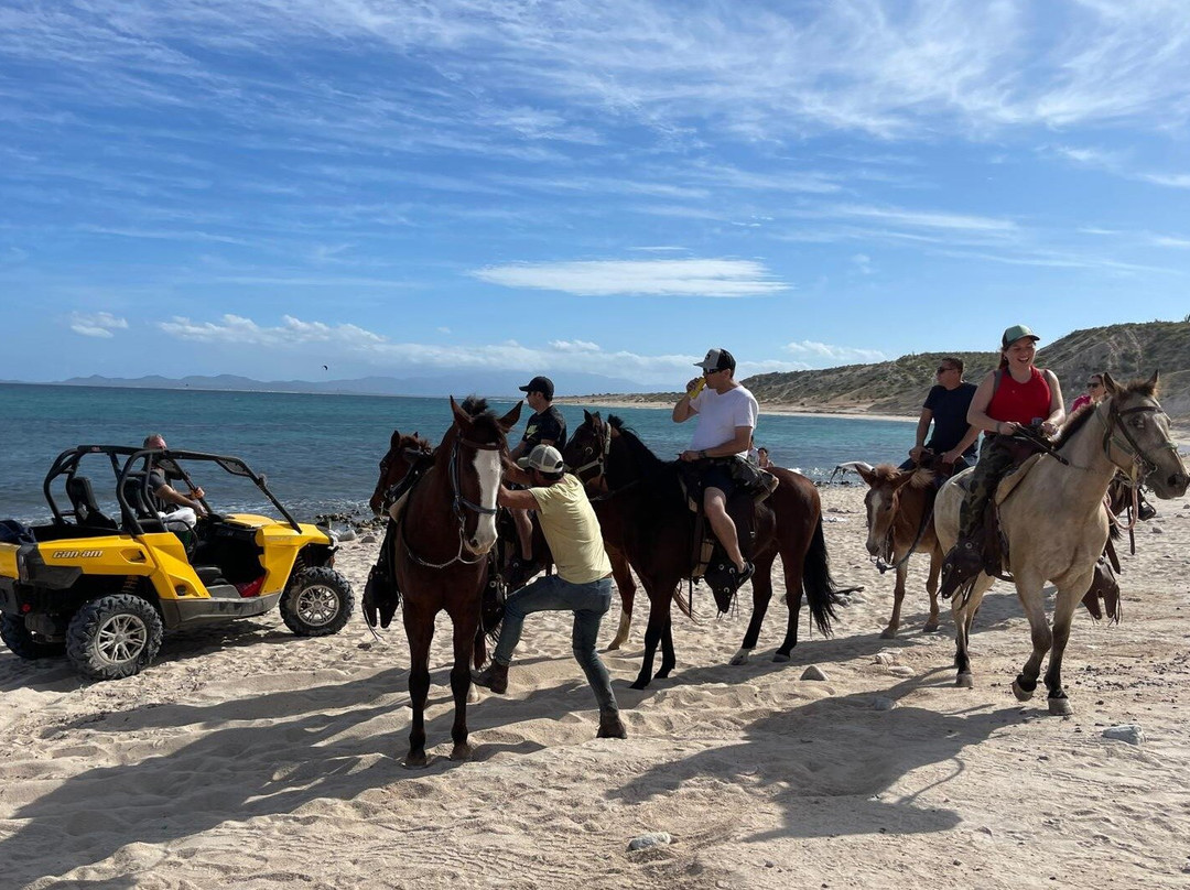 Pitaya Experiences and Tours-La Ventana必去景点