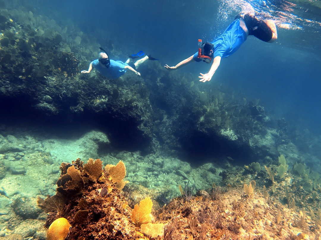 Sea Jay Cruises-格雷斯湾必去景点