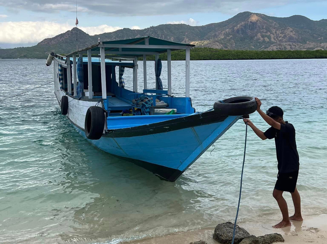 Komodo One Click Tours景点图片