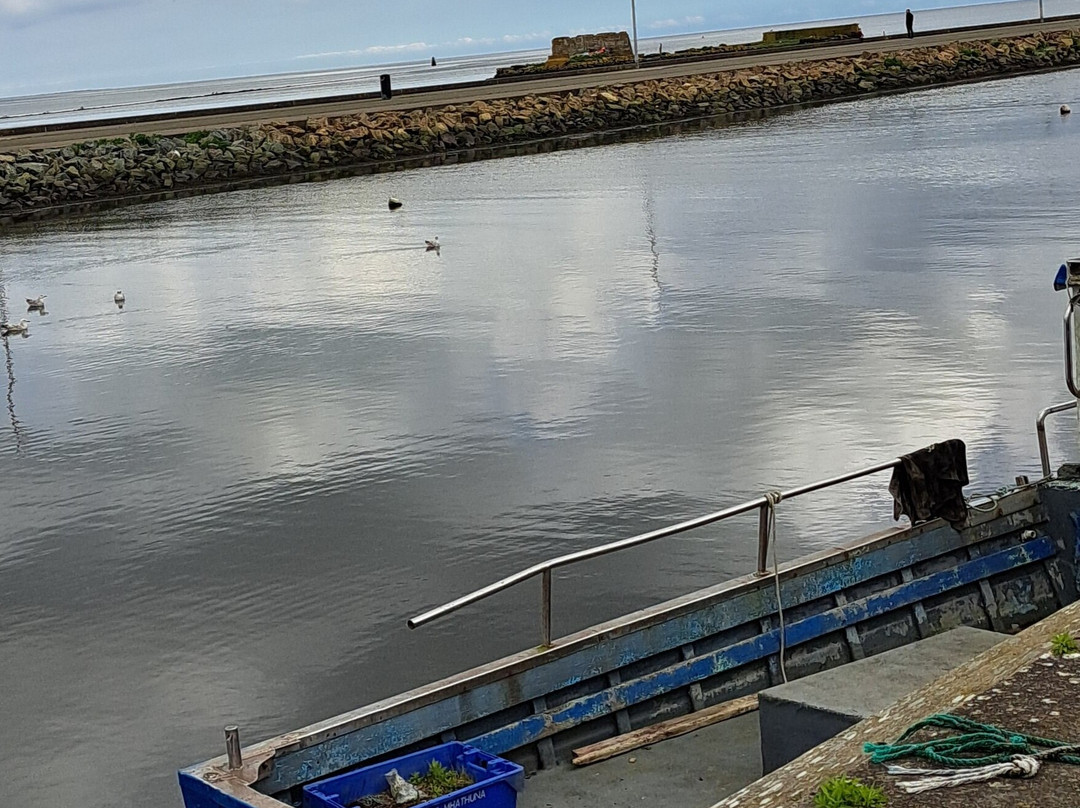 Wexford Harbour-韦克斯福德必去景点