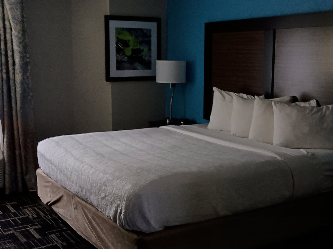 Best Western Travelers Rest/Greenville主图