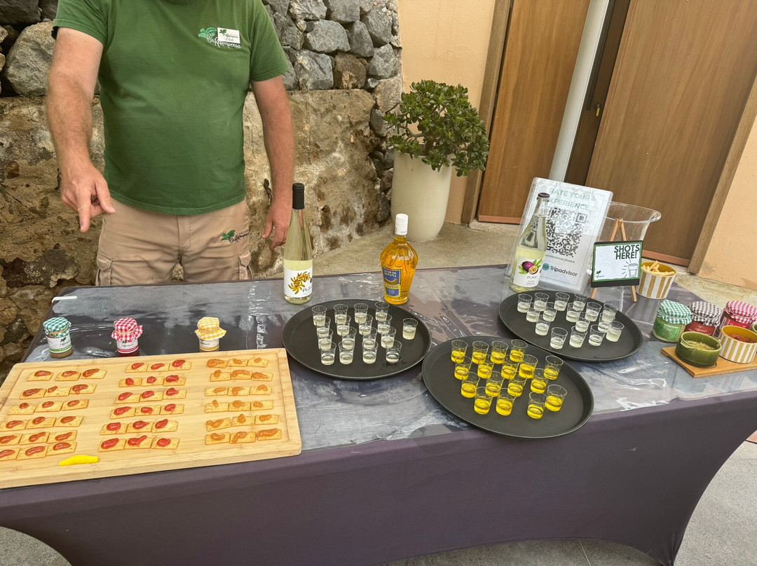 Banana Museum (Le Musee de la Banane)-马提尼克必去景点