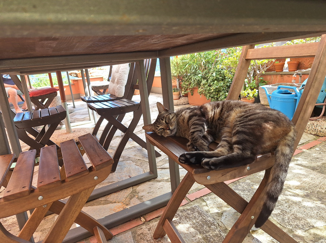 B&B Villa Ginestra主图