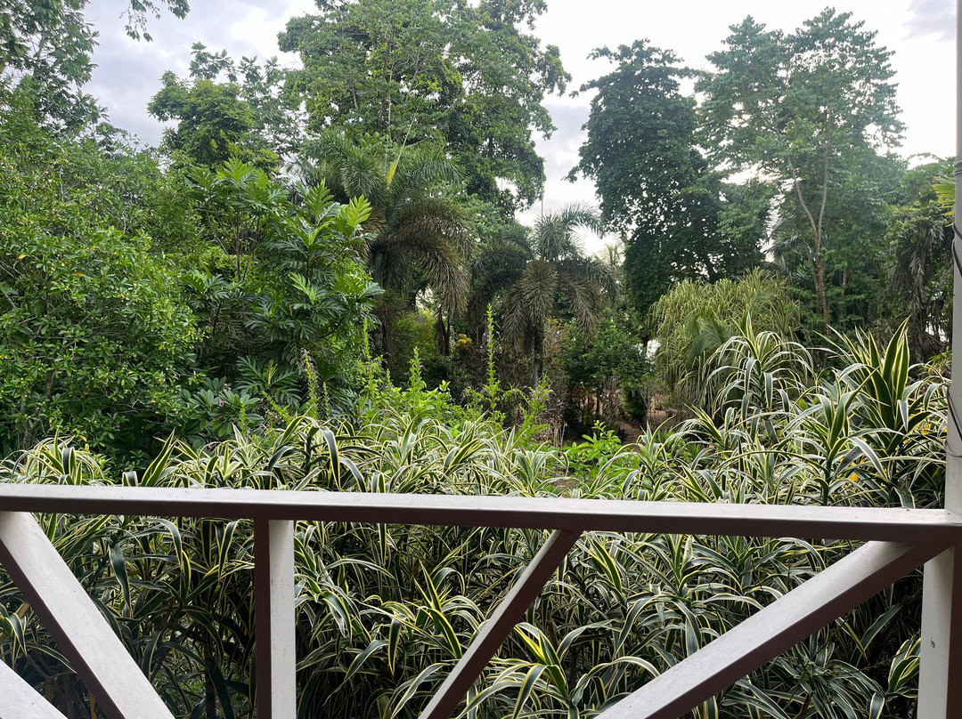 Turtle Beach House主图