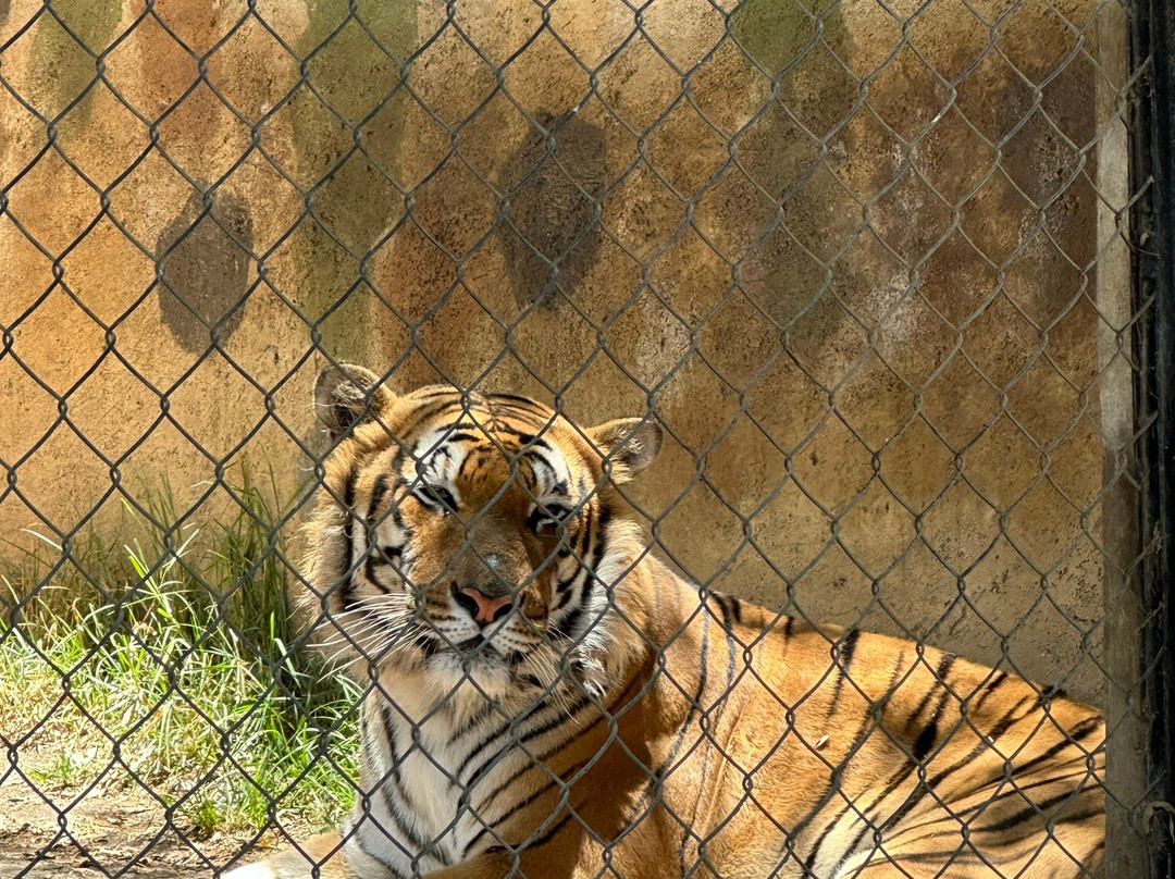 Rancho Magico-墨西哥城必去景点