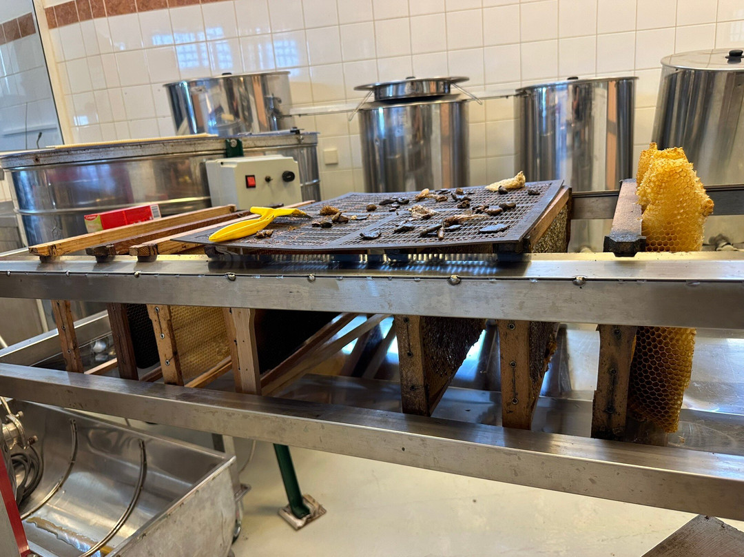 Corfu Beekeeping Vasilakis-Vatos必去景点