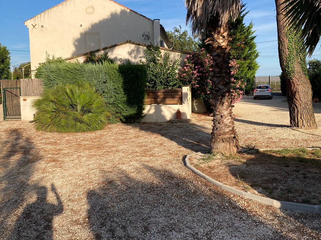 La Vigne Blanche主图