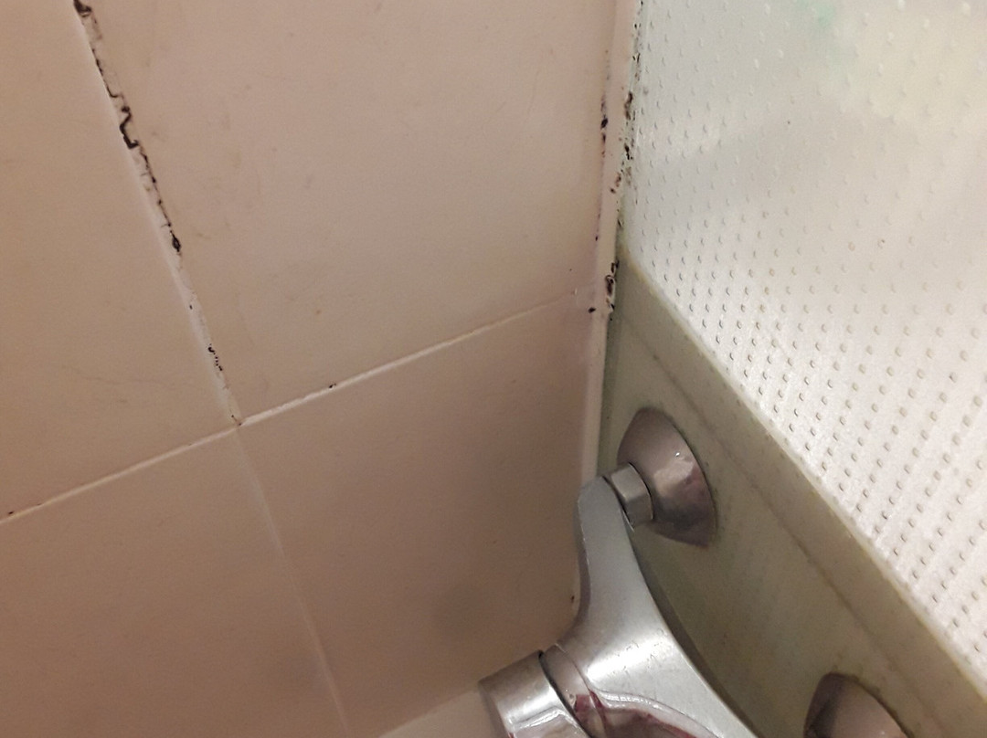 B&B HOTEL Perpignan Sud Porte d'Espagne主图