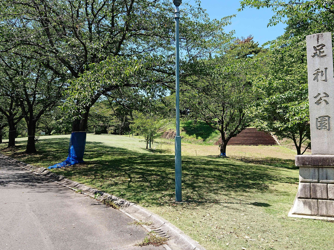 Ashikaga Park-足利市必去景点