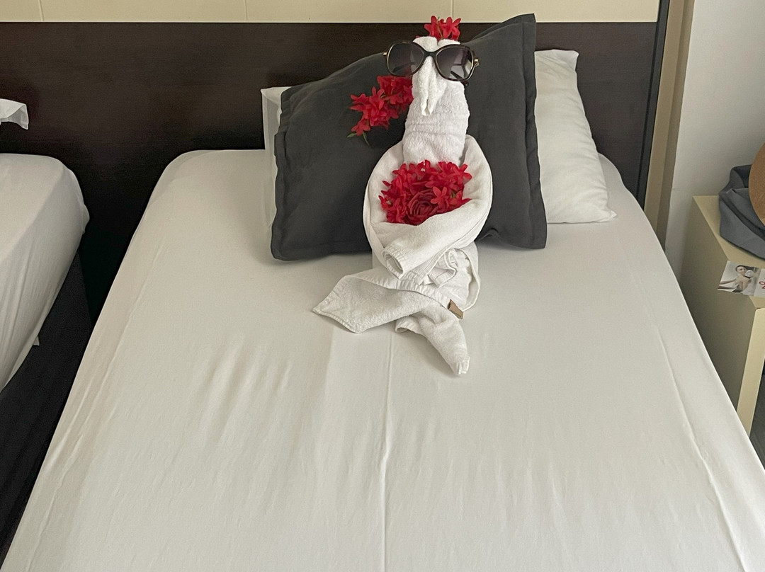 Hotel Camyuva Beach主图