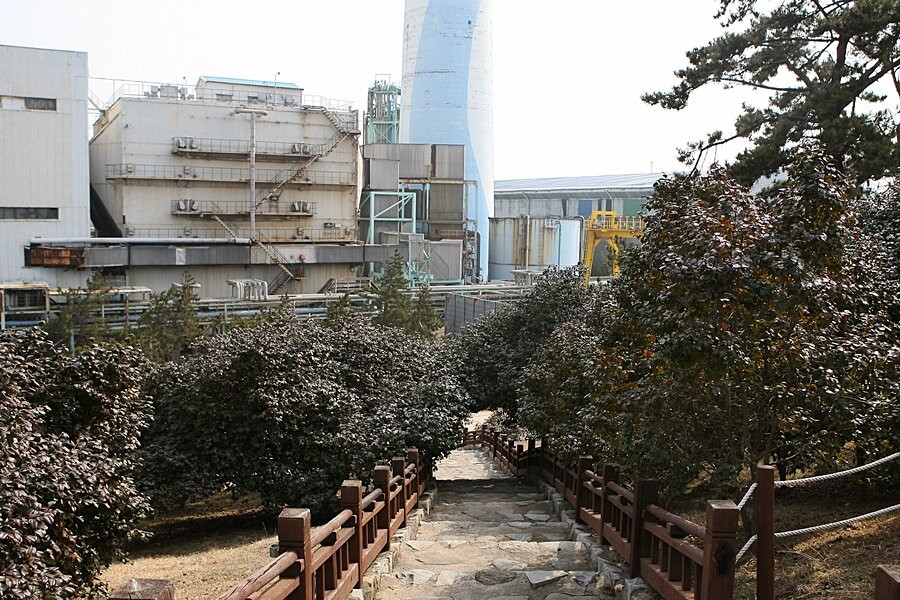 Seocheon Maryang-ri Camellia Forest-舒川郡必去景点