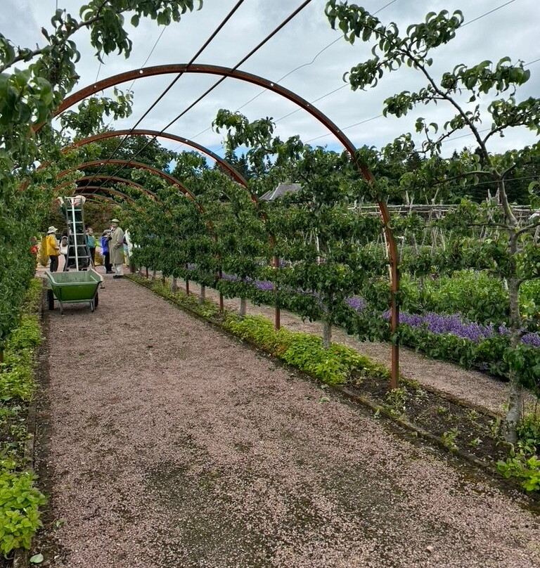 Gordon Castle Walled Garden-Fochabers必去景点