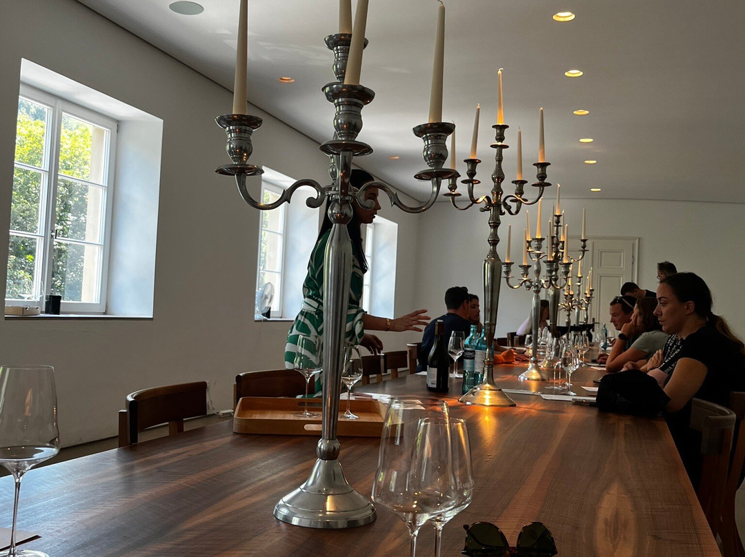 Weingut Markus Molitor景点图片