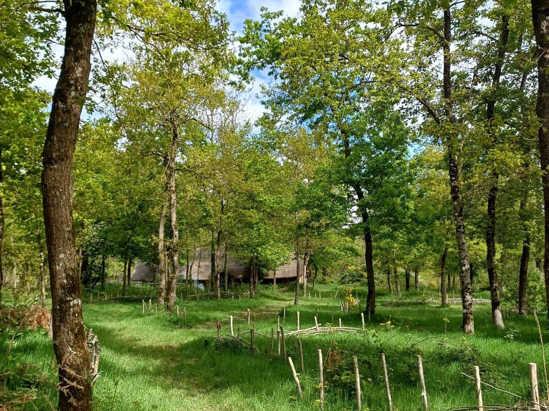 Archéovillage景点图片