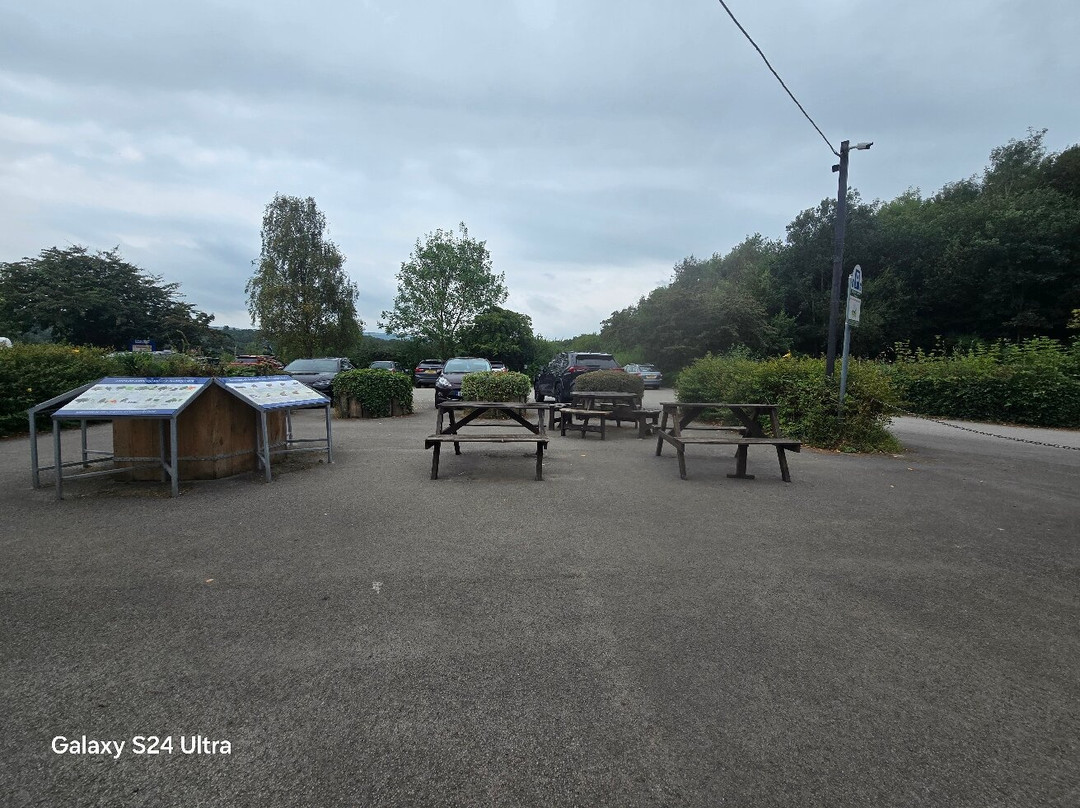 Astbury Mere Country Park景点图片