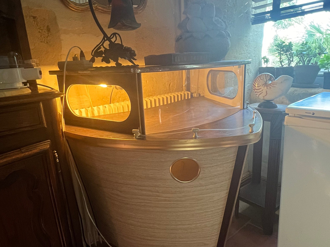 Les Logis de Lestiac主图