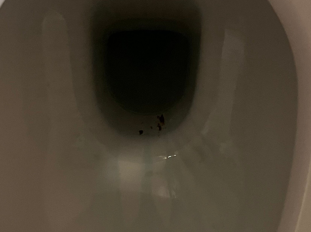 萨列乔酒店主图