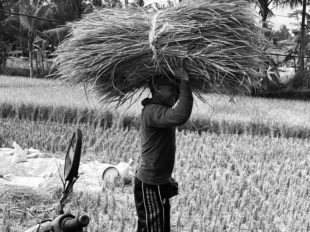 Awesome Bali Cycling-金塔马尼必去景点